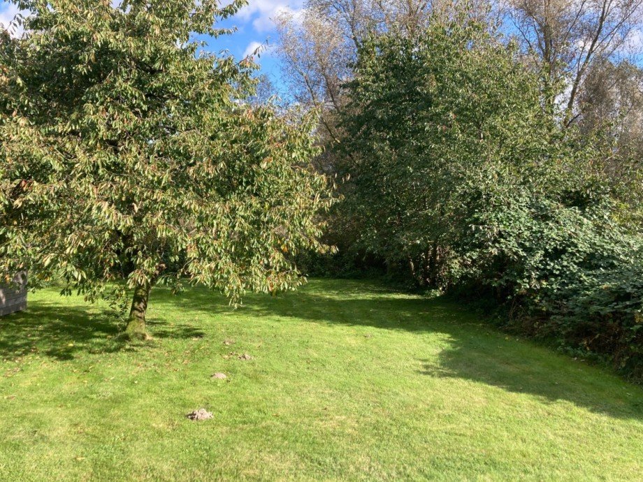 Bild... Einfamilienhaus Lindenberg
