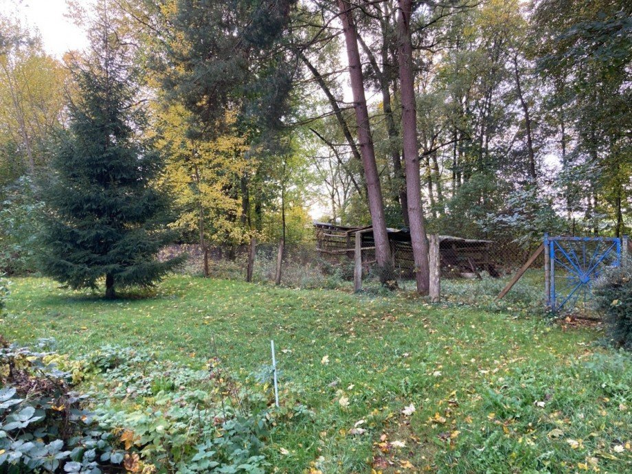 Grundst�ck Einfamilienhaus Schorssow