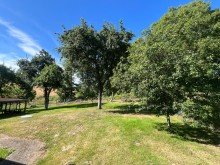 IMG_2519 Am Waldrand: Einfamilienhaus + Einliegerwohnung - Nebengeb�ude - Freier Blick - Waren/M�ritz 10 km