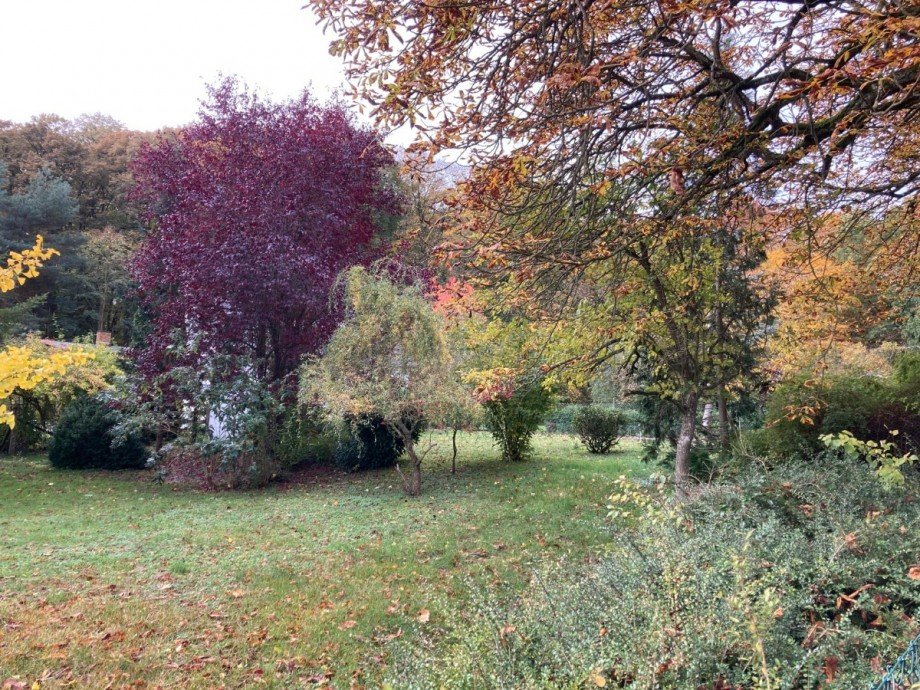 Grundst�ck Einfamilienhaus Schorssow