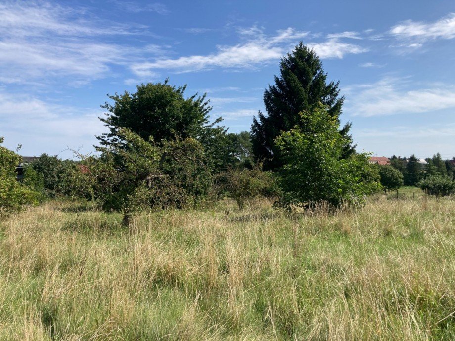 IMG_6154 Einfamilienhaus Gielow