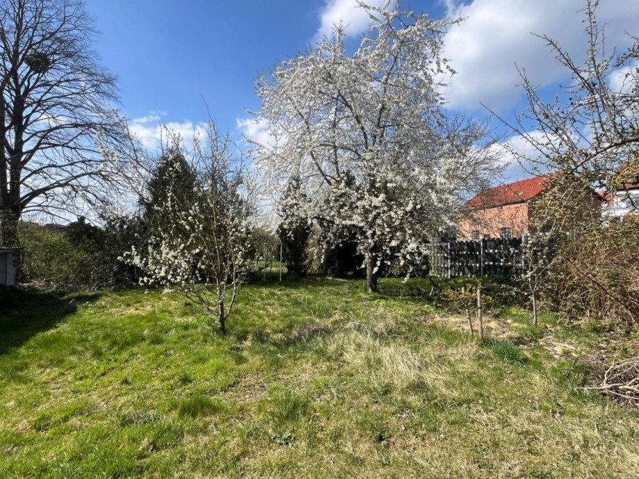 IMG_0908 Einfamilienhaus Neukalen