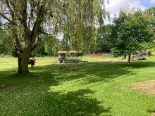 Bild... Wohnhaus mit Fachwerk - Traumgrundst�ck mit ca. 10.500 m� - Einbauk�che - Kaminofen - Carport....