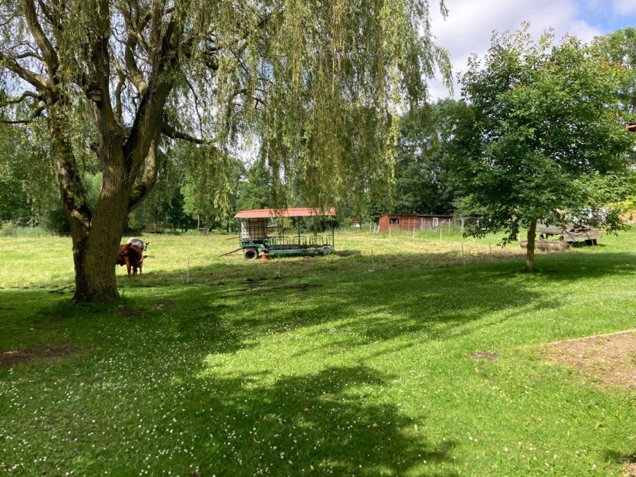 Bild... Einfamilienhaus Gro� W�stenfelde