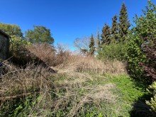 IMG_1677 Haush�lfte mit Potential - See fu�l�ufig - Waren/M�ritz ca. 15 km....