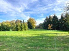 Bild... Vielseitig: Ansprechender Bungalow - Grundst�ck ca. 8.000 m� - Nebengeb�ude individuell nutzbar.....