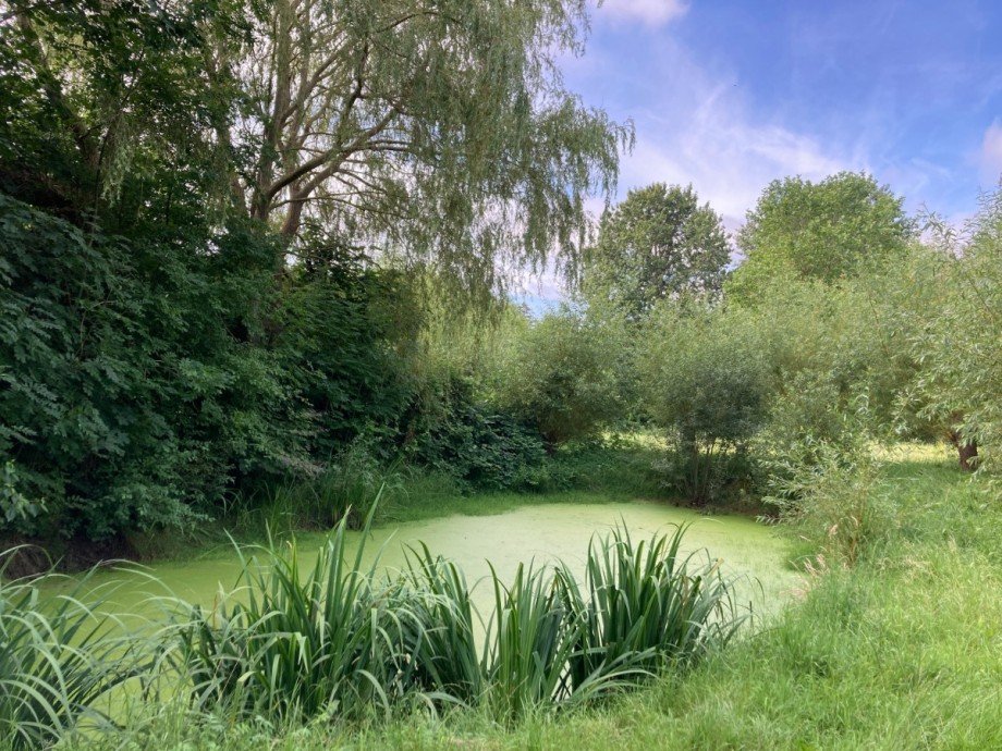 Bild... Einfamilienhaus Gro� W�stenfelde