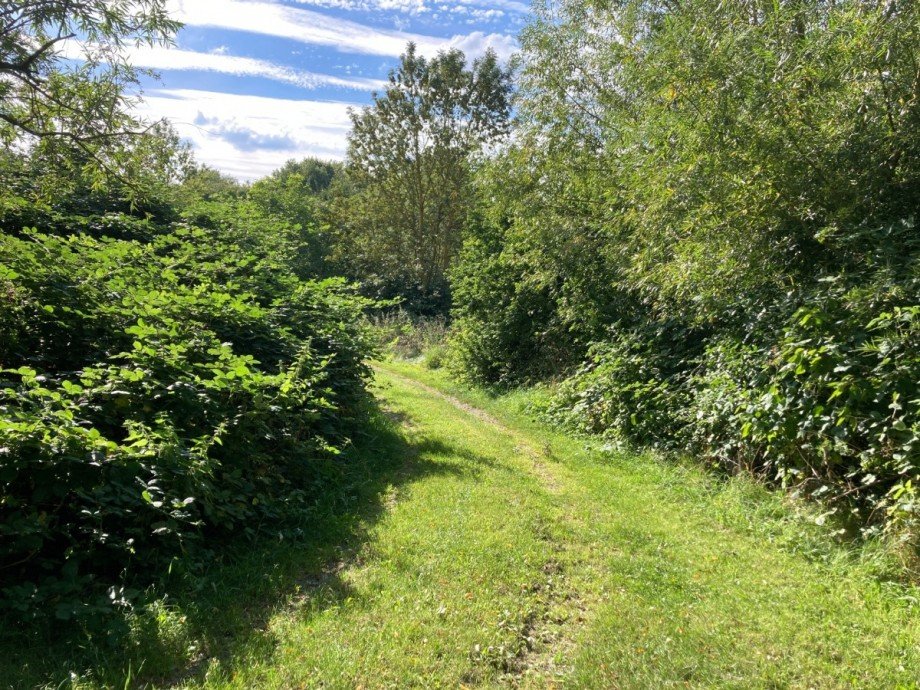 IMG_6272 Einfamilienhaus Lindenberg