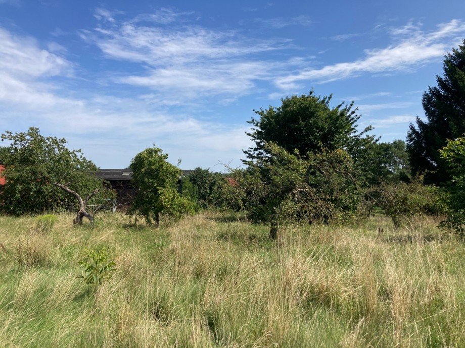 IMG_6156 Einfamilienhaus Gielow