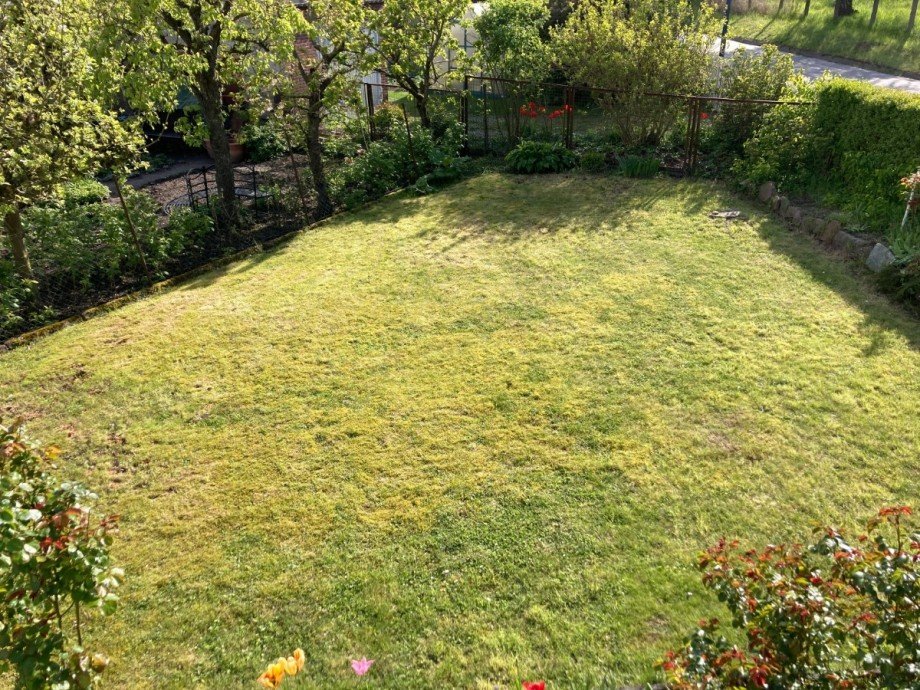 Grundst�ck Einfamilienhaus Malchin