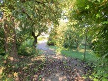 IMG_6590 Herrliches Stadtgrundst�ck mit Zufahrt - Reihenhaus - Nebengeb�ude - weitere Bebauung m�glich....