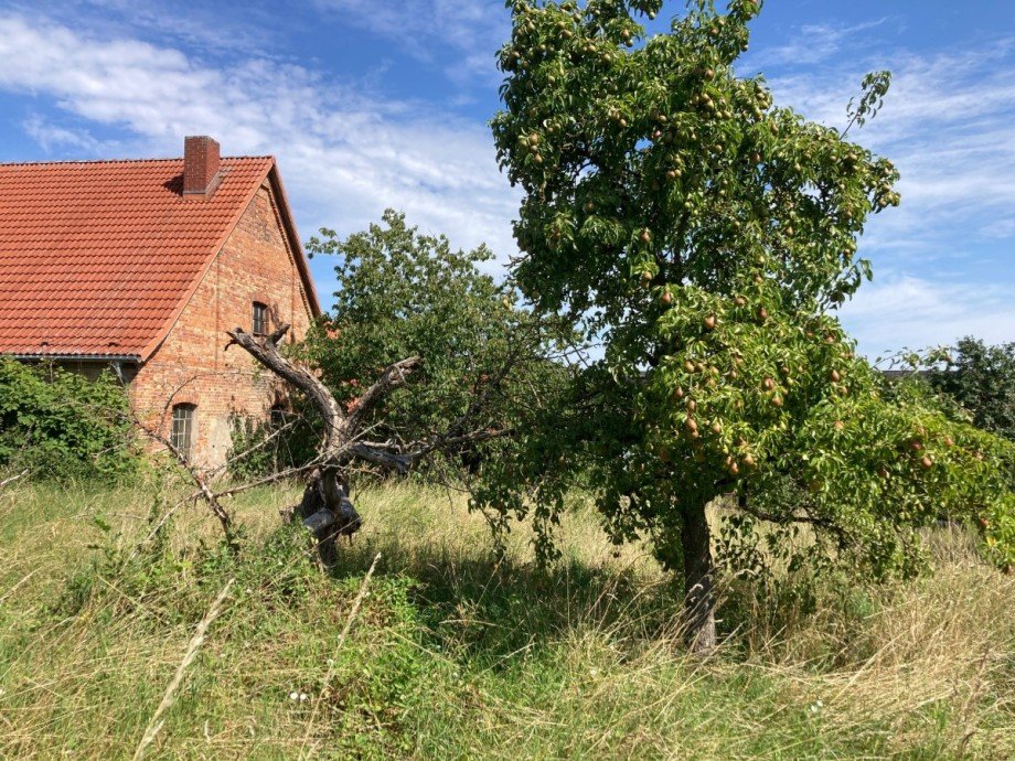 IMG_6151 Einfamilienhaus Gielow